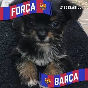 Meet your Posher, Glenda